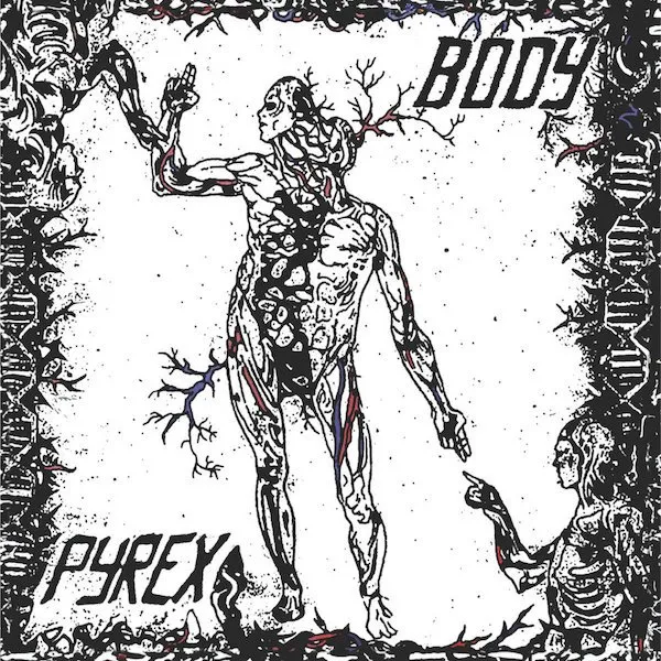 pyrex-body
